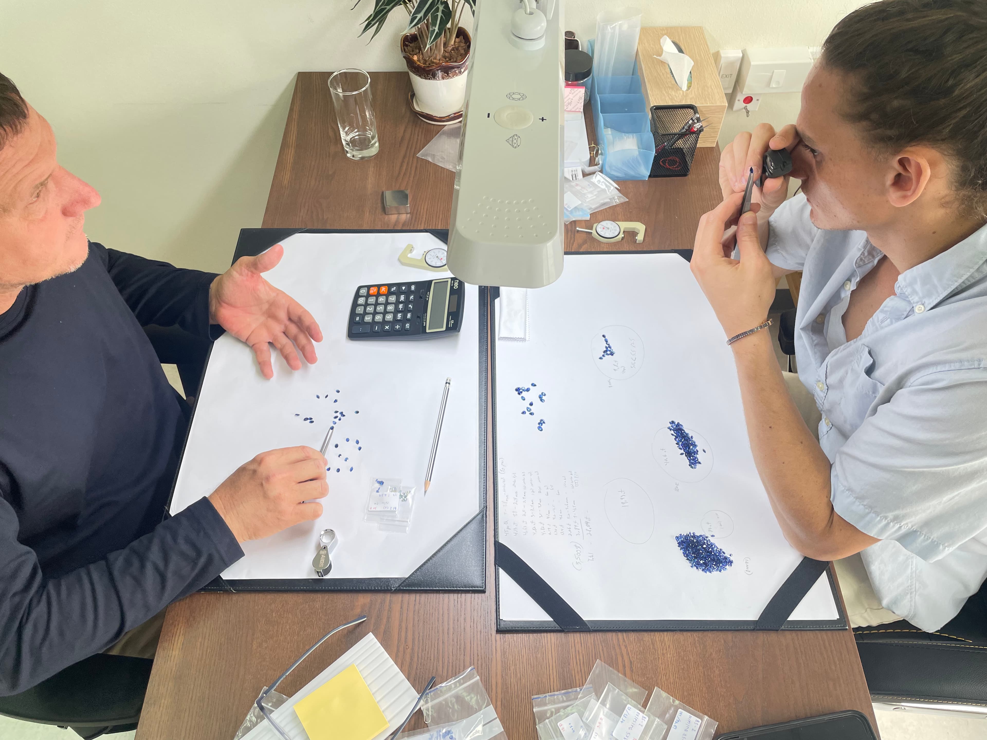 Shoham Gems team working